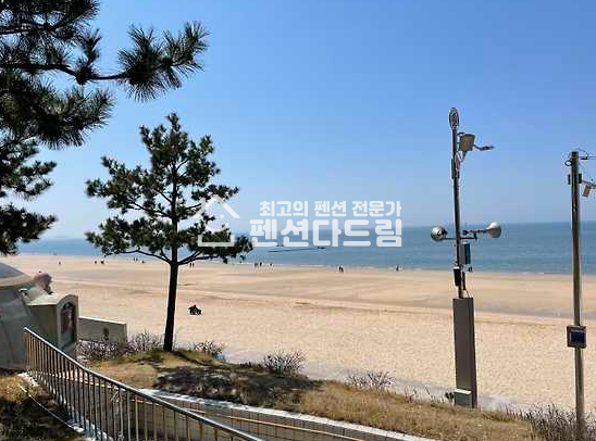 충남 보령시 신흑동 보령 펜션 매매 매매 매물번호 12758 사진 1