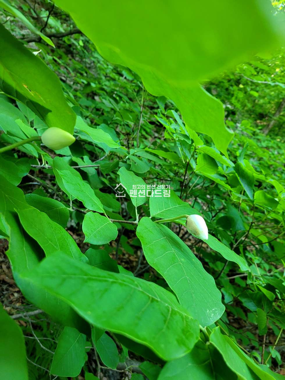 경기 부천소사구 심곡본동 경기모텔매매 매매 매물번호 13422 사진 1