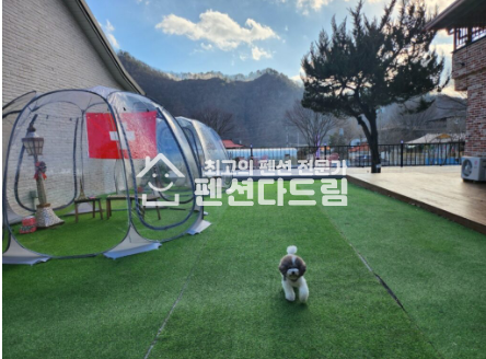 강원 춘천시 남면 한덕리 춘천 애견 펜션임대 월세 매물번호 13940 사진 1