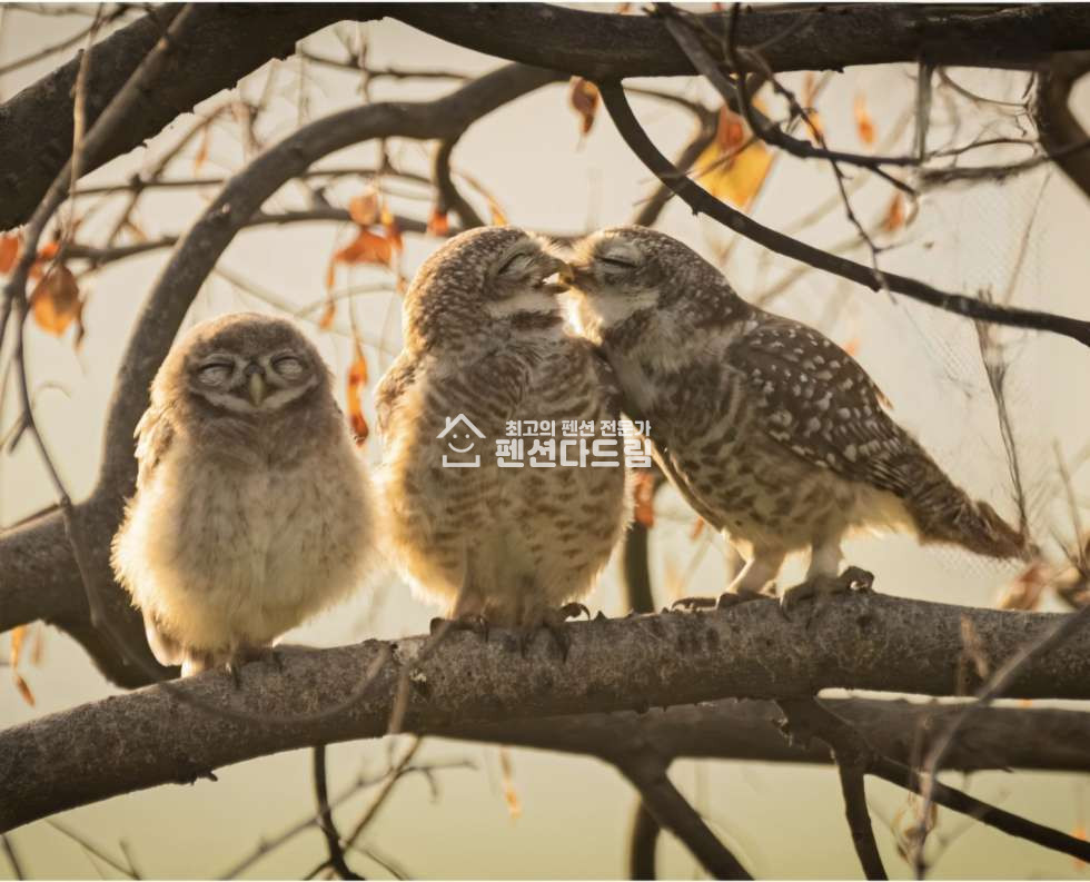 경기 안산상록구 수암동 소액모텔매매, 소액으로 직영가능,현금4억 매매 매물번호 13583 사진 2