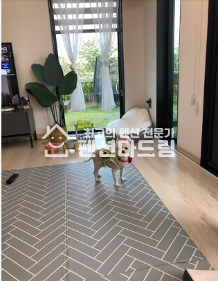 경기 안산단원구 대부남동 대부도펜션매매 애견 풀빌라 독채 펜션 !! 매매 매물번호 10334 사진 1