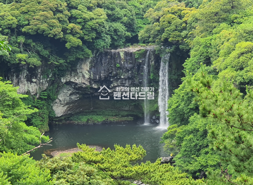 제주 서귀포시 서귀동 제주서귀포 급급매 20억=>14억 매매 매물번호 13484 사진 1