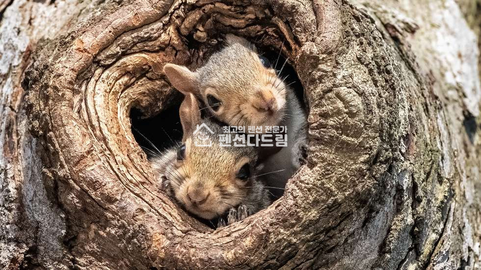 서울 종로구 숭인동 서울 호텔 객실101실 호텔매매 매매 매물번호 14509 사진 1