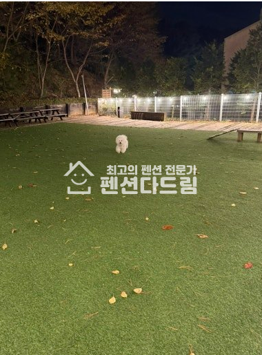 경기 가평군 청평면 고성리 청평 애견펜션 임대 월세 매물번호 14812 사진 1